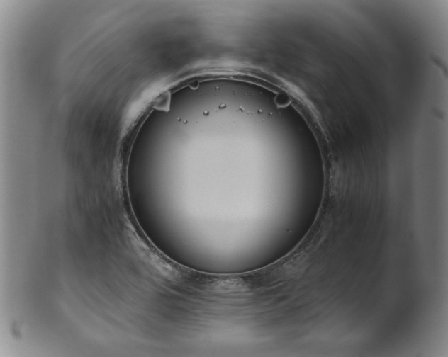 X0000102471464200808081239