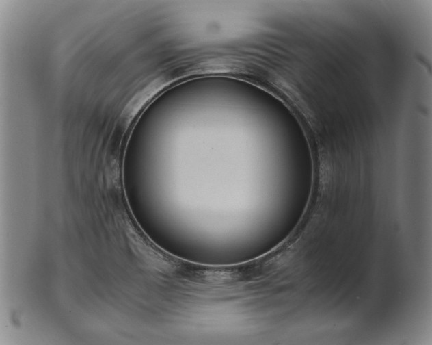 X0000102471465200808081239