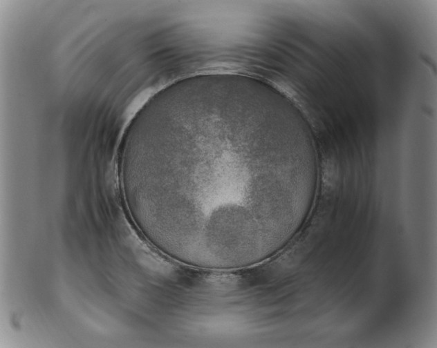 X0000102471466200808081239