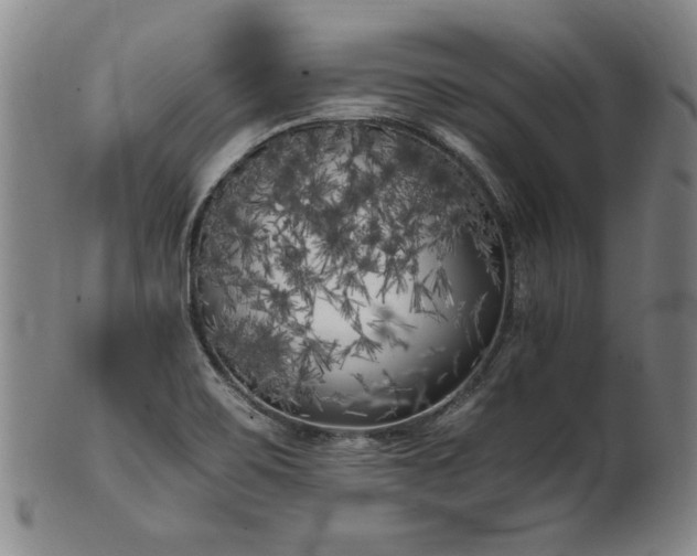 X0000102471467200808081239