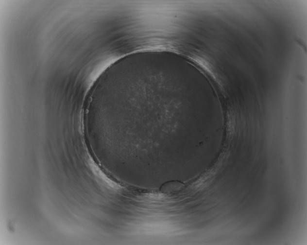 X0000102471468200808081239