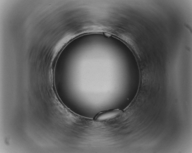 X0000102471472200808081238