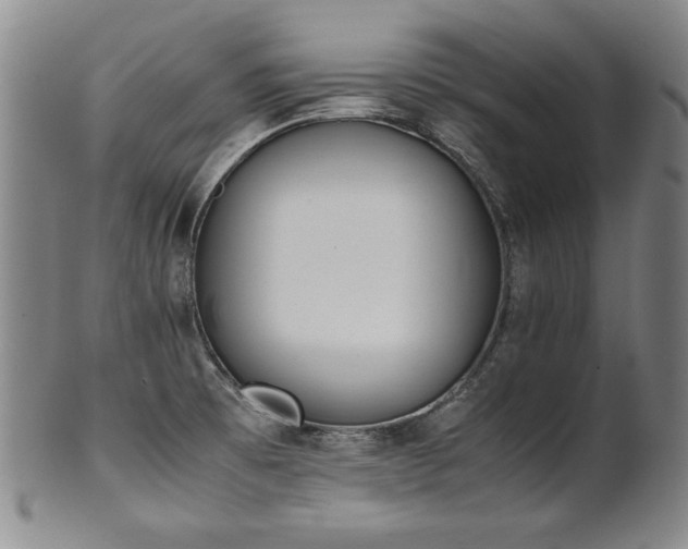 X0000102471473200808081238