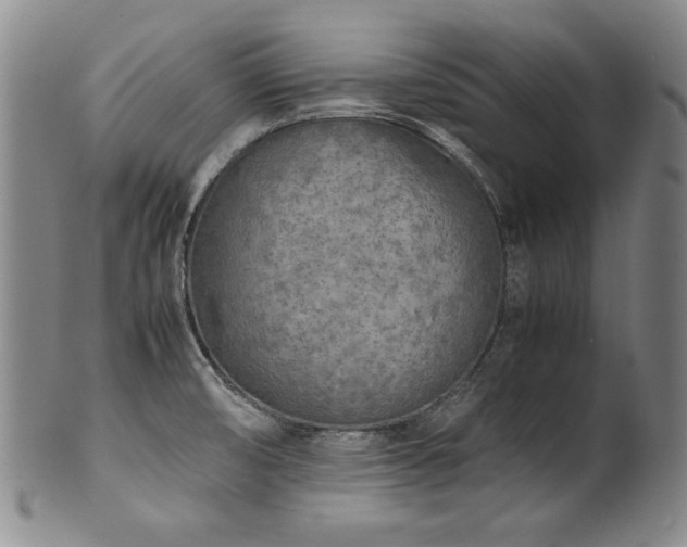 X0000102471474200808081238