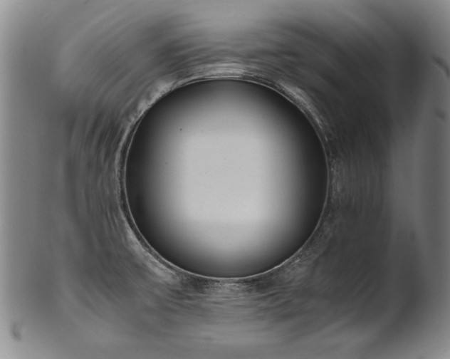 X0000102471475200808081238