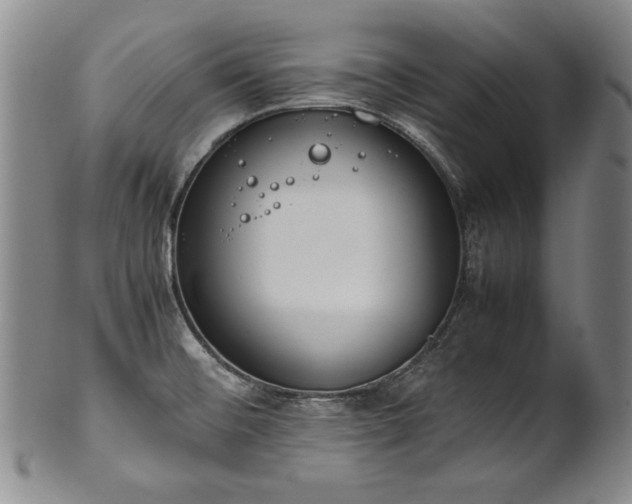 X0000102471476200808081238