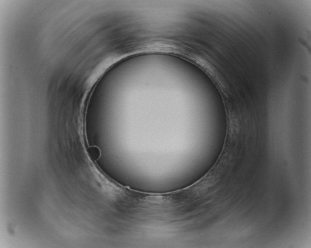 X0000102471478200808081238