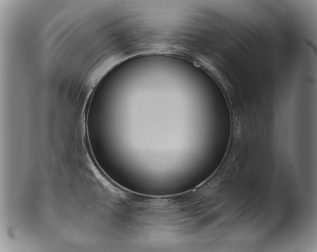 X0000102471479200808081238