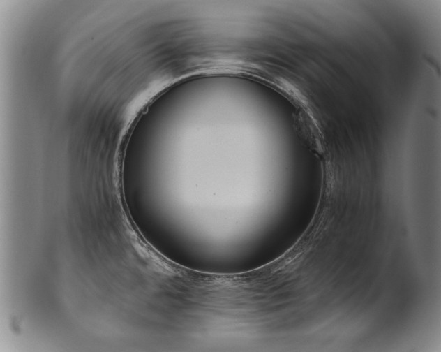 X0000102471480200808081238
