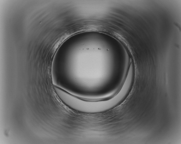 X0000102471481200808081238