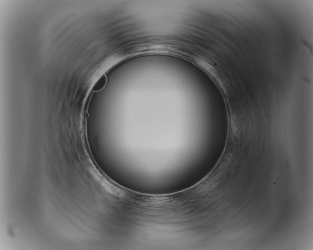 X0000102471482200808081238