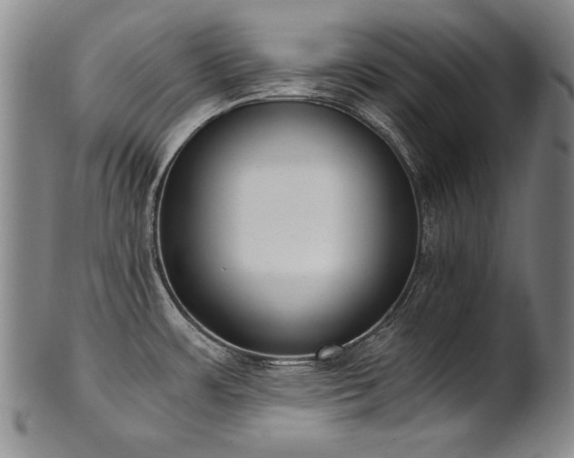 X0000102471483200808081238