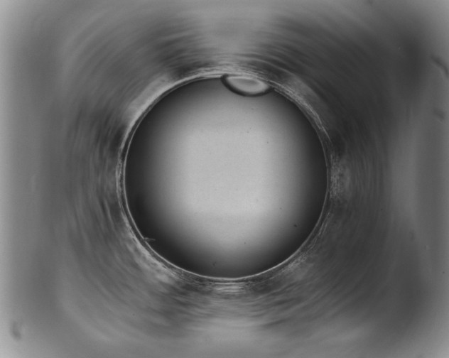 X0000102471484200808081238