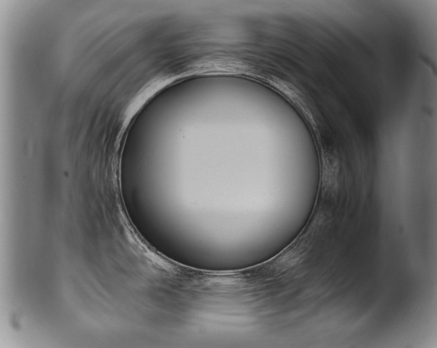 X0000102471486200808081238