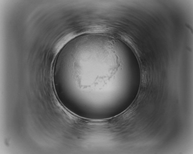 X0000102471487200808081238
