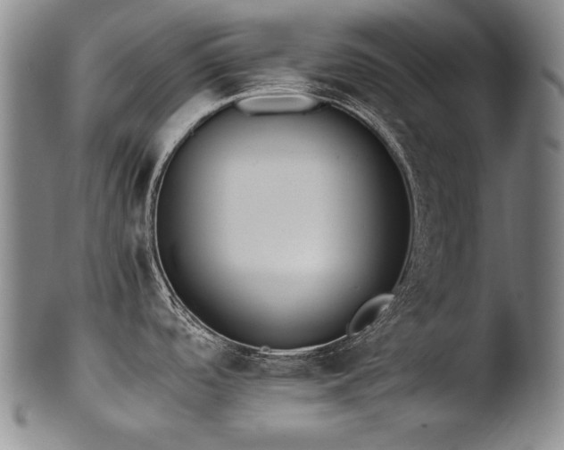 X0000102471488200808081238