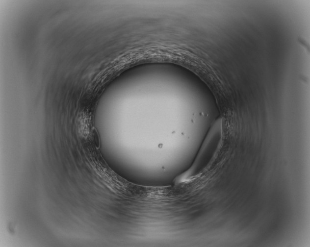 X0000102471490200808081237