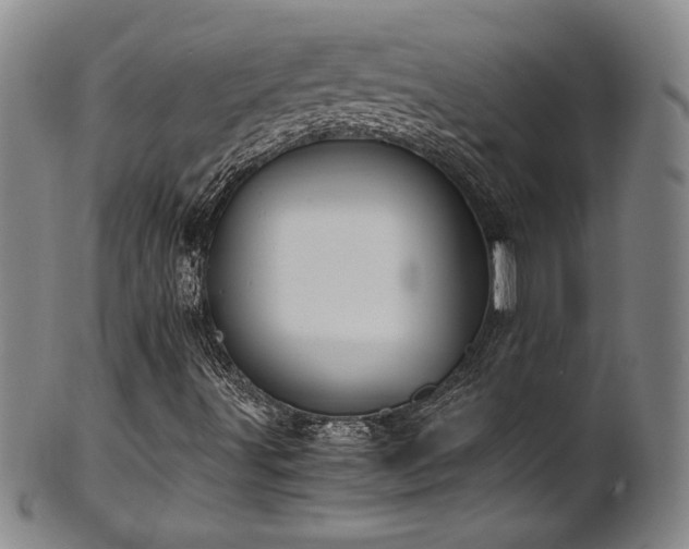 X0000102471491200808081237
