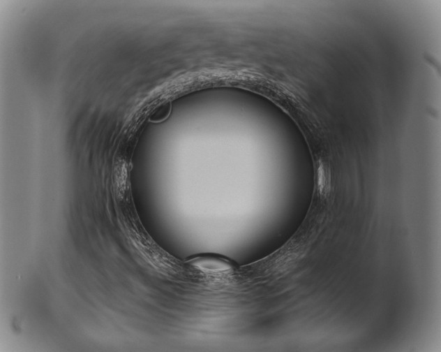 X0000102471492200808081237
