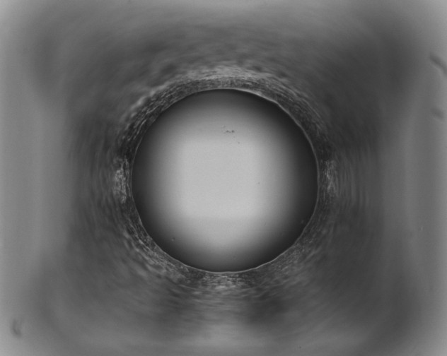 X0000102471493200808081237