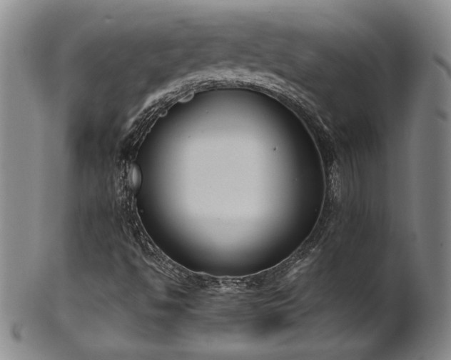 X0000102471494200808081237