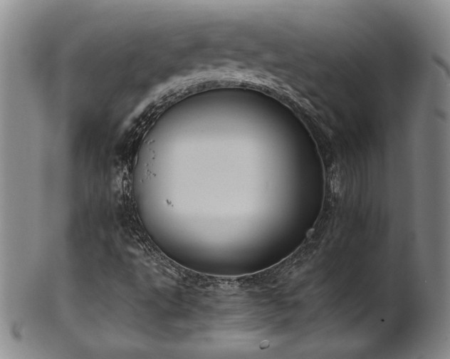 X0000102471495200808081238