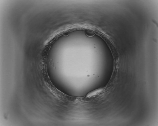 X0000102471496200808081238