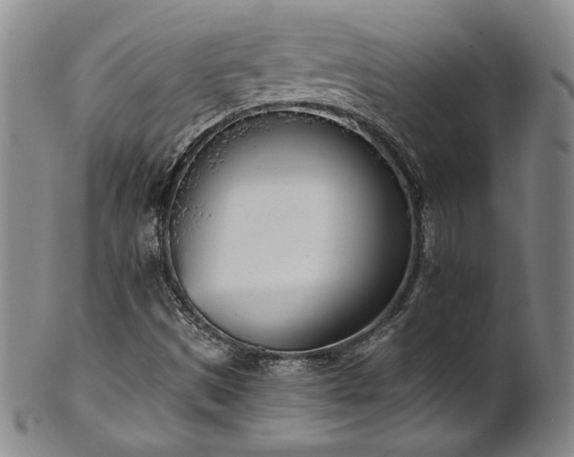 X0000102471497200808081238