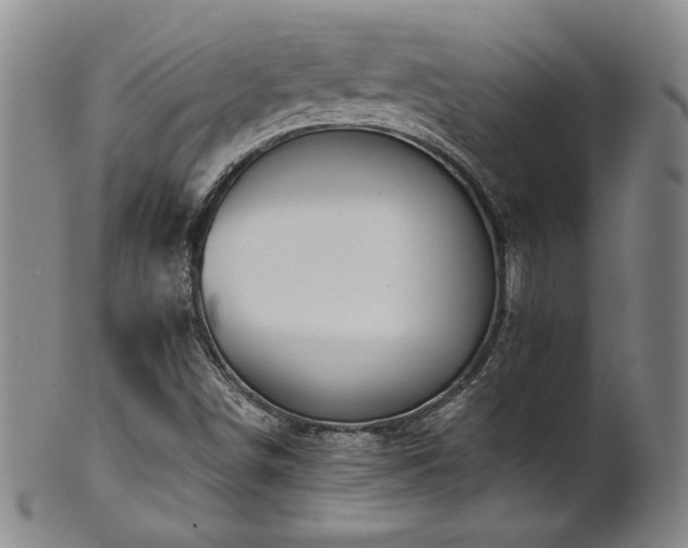 X0000102471498200808081238