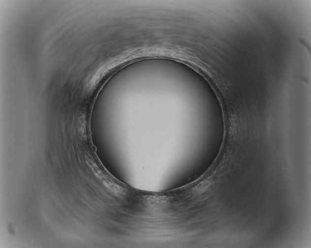 X0000102471499200808081238