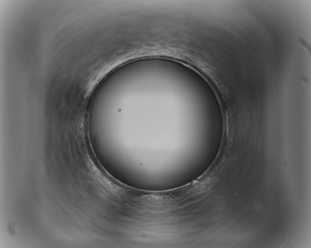 X0000102471500200808081238