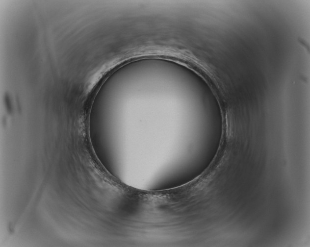 X0000102471501200808081238