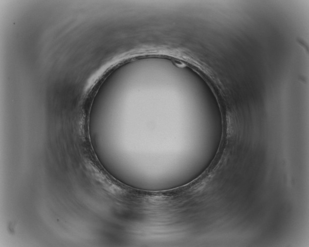 X0000102471502200808081238