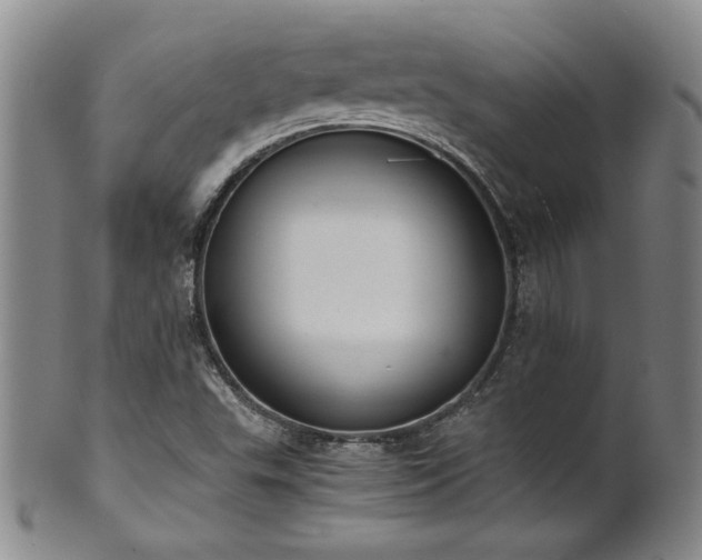 X0000102471503200808081238