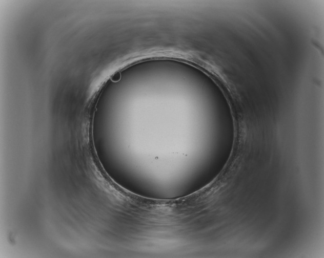 X0000102471504200808081238
