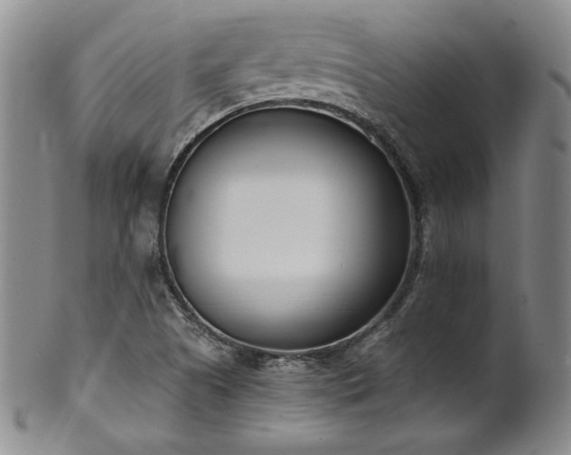 X0000102471505200808081238