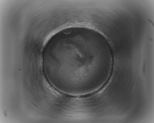 X0000102471506200808081238