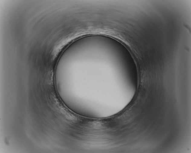 X0000102471507200808081238