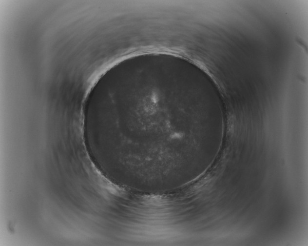 X0000102471508200808081238