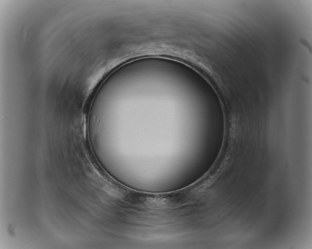 X0000102471509200808081238