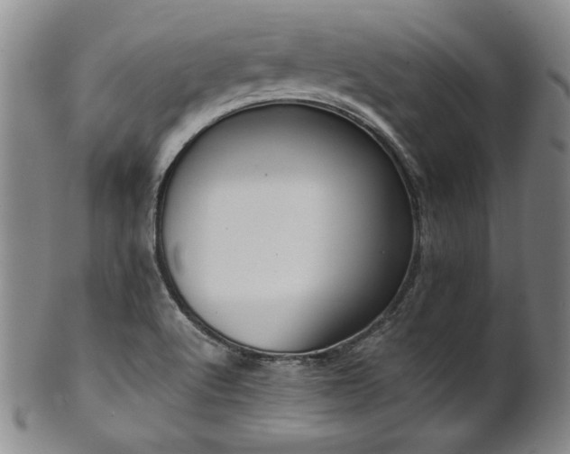 X0000102471512200808081238