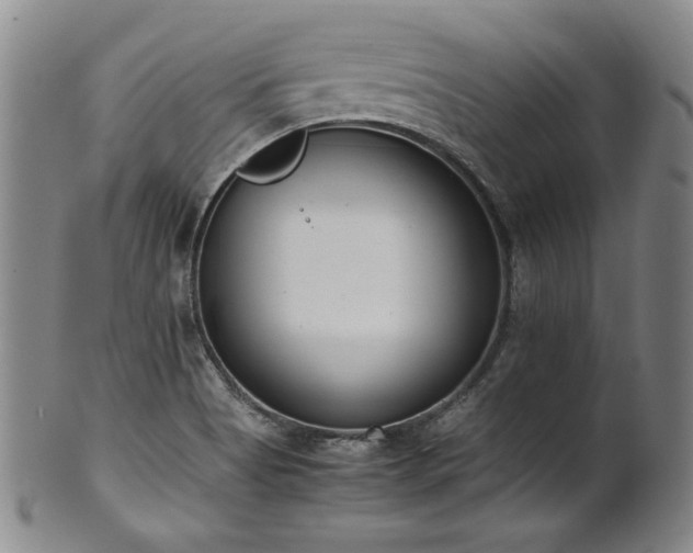 X0000102471513200808081238