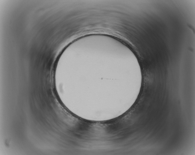 X0000102471514200808081238