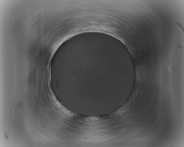 X0000102471515200808081238