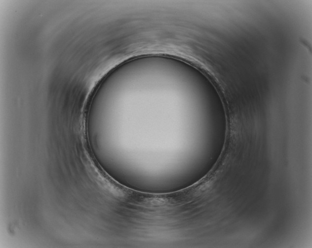 X0000102471517200808081238