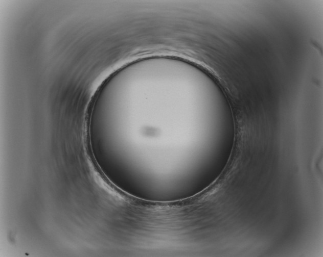 X0000102471518200808081238