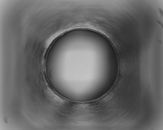 X0000102471519200808081238