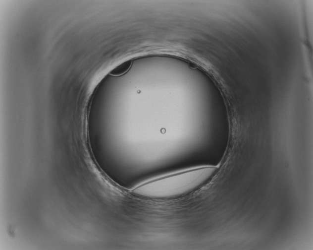 X0000102471520200808081238