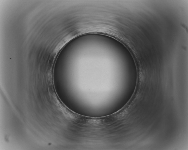 X0000102471521200808081238