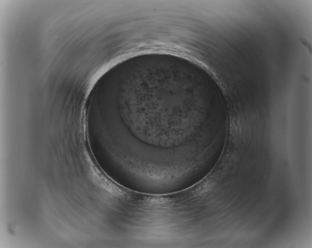 X0000102471522200808081238
